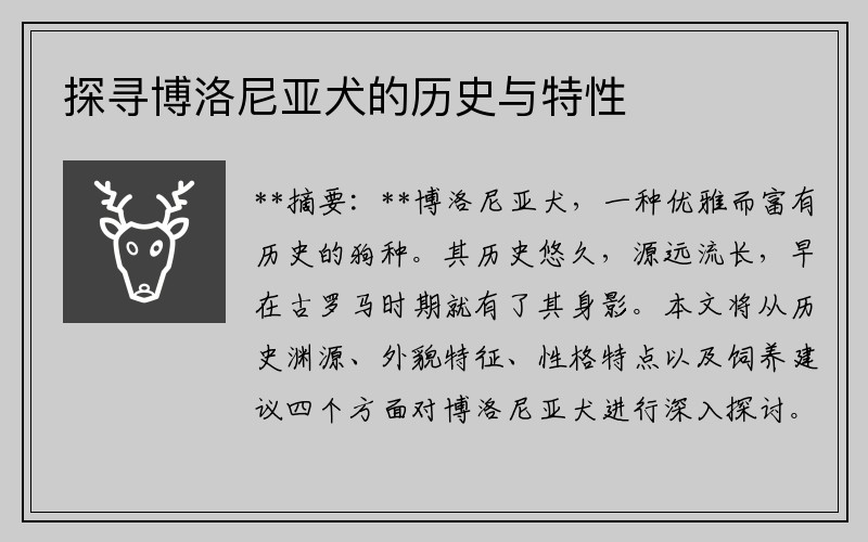 探寻博洛尼亚犬的历史与特性