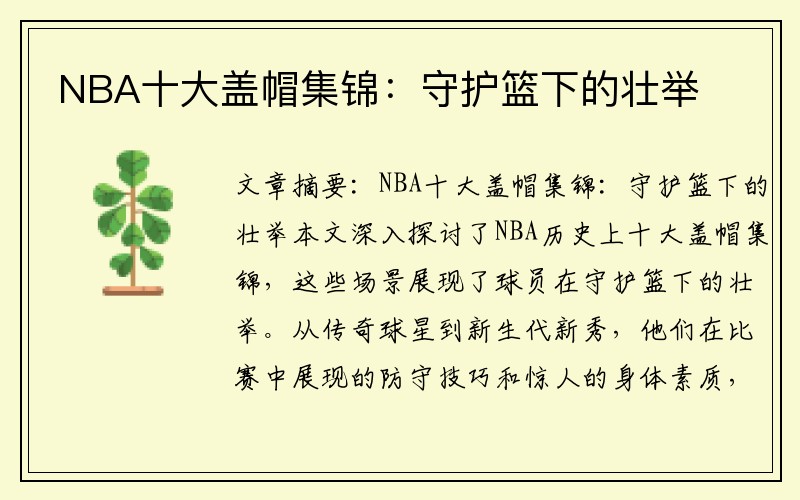 NBA十大盖帽集锦：守护篮下的壮举